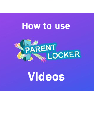  PLE